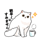 もふもふの白い猫（個別スタンプ：26）