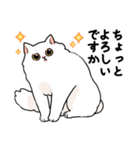 もふもふの白い猫（個別スタンプ：29）