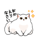 もふもふの白い猫（個別スタンプ：30）