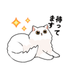 もふもふの白い猫（個別スタンプ：31）