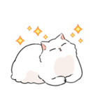 もふもふの白い猫（個別スタンプ：40）