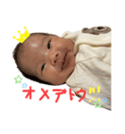 z...333（個別スタンプ：17）