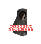 祝‼︎國藤誠也27周年記念スタンプ（個別スタンプ：3）