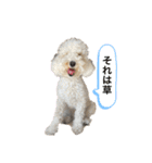 なんうまるむぎ（個別スタンプ：1）