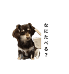 なんうまるむぎ（個別スタンプ：8）