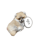 なんうまるむぎ（個別スタンプ：10）