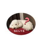 なんうまるむぎ（個別スタンプ：13）