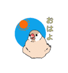 文鳥のごあいさつ（個別スタンプ：5）