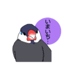 文鳥のごあいさつ（個別スタンプ：10）