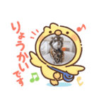cyami（個別スタンプ：1）