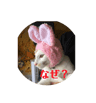 オマンプ1（個別スタンプ：4）