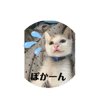 オマンプ1（個別スタンプ：6）