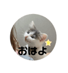 ぽんず日記2（個別スタンプ：2）