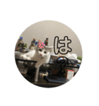 ぽんず日記2（個別スタンプ：5）