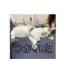ぽんず日記2（個別スタンプ：7）