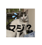 ぽんず日記2（個別スタンプ：9）