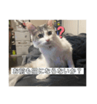 ぽんず日記2（個別スタンプ：10）