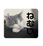 ぽんず日記2（個別スタンプ：12）