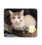 ぽんず日記2（個別スタンプ：14）