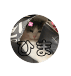 ぽんず日記2（個別スタンプ：17）