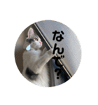 ぽんず日記2（個別スタンプ：18）
