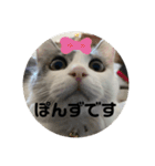 ぽんず日記2（個別スタンプ：19）