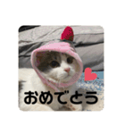 ぽんず日記2（個別スタンプ：23）