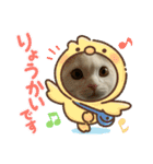 ROY RAW RUA（個別スタンプ：1）