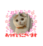 ROY RAW RUA（個別スタンプ：2）