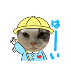 ROY RAW RUA（個別スタンプ：9）