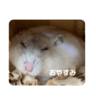 だ・い・ふ・く（個別スタンプ：1）