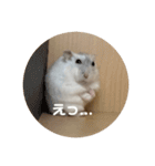 だ・い・ふ・く（個別スタンプ：3）
