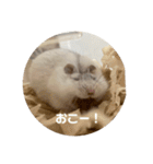 だ・い・ふ・く（個別スタンプ：4）