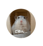 だ・い・ふ・く（個別スタンプ：5）
