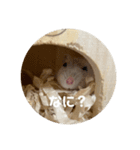 だ・い・ふ・く（個別スタンプ：6）