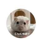 だ・い・ふ・く（個別スタンプ：8）
