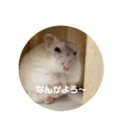 だ・い・ふ・く（個別スタンプ：18）