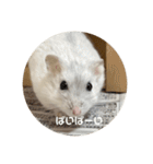 だ・い・ふ・く（個別スタンプ：26）