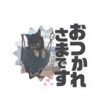 OSORAのスタンプ3（個別スタンプ：14）