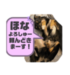 OSORAのスタンプ3（個別スタンプ：16）