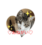 アルナハ1（個別スタンプ：2）