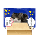 アルナハ1（個別スタンプ：6）