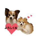 毛むくじゃら達4♥（個別スタンプ：2）