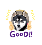 maro(●`ω´●)（個別スタンプ：6）