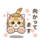 やさしい子猫のポップアップ3.5【丁寧語】（個別スタンプ：11）