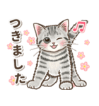 やさしい子猫のポップアップ3.5【丁寧語】（個別スタンプ：12）