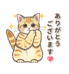 やさしい子猫のポップアップ3.5【丁寧語】（個別スタンプ：13）