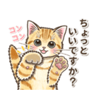 やさしい子猫のポップアップ3.5【丁寧語】（個別スタンプ：17）