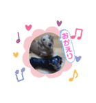 我が家の愛犬ダックス 日常（個別スタンプ：14）