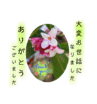 ありがとうと会いたい気持ちと待ち合わせ（個別スタンプ：3）